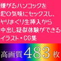 【高画質】嫌がるハンコックを犯〇気味にセックスし、ヤリまくり生挿入から中出し疑似体験ができるイラスト・CG集