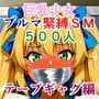 巨乳少女ブルマ緊縛SM 500人 テープギャグ編