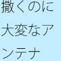 どこまで伸びていっても・・目の前の小さな草から始まる小宇宙 落書きノートに投影して・・